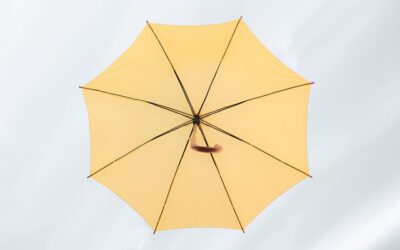Printed and Branded Umbrellas