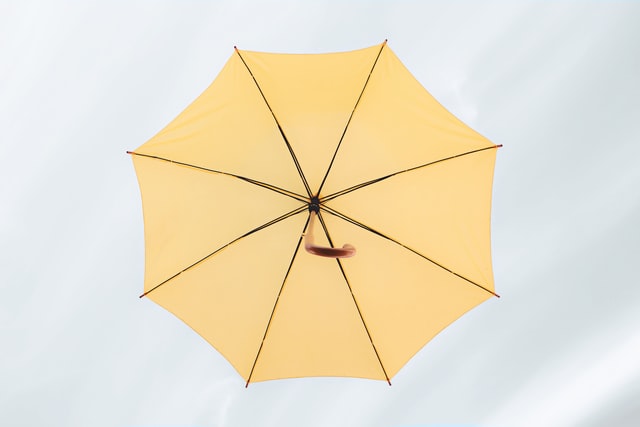 Printed and Branded Umbrellas