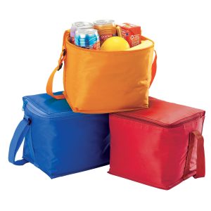 Small Cooler Bag