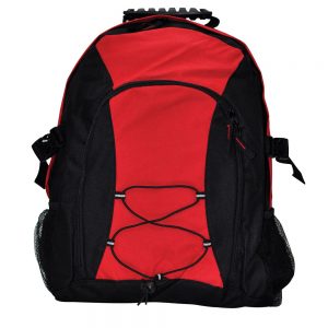 Smartpack Backpack