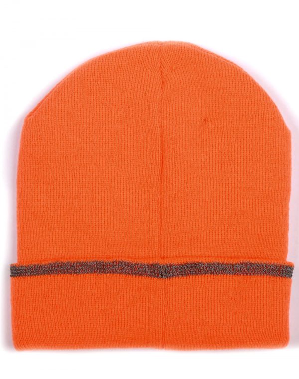 Thinsulated Cuff Beanie - Image 6