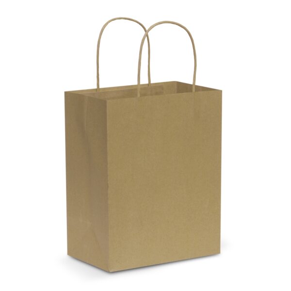 Paper Carry Bag - Medium - Image 2