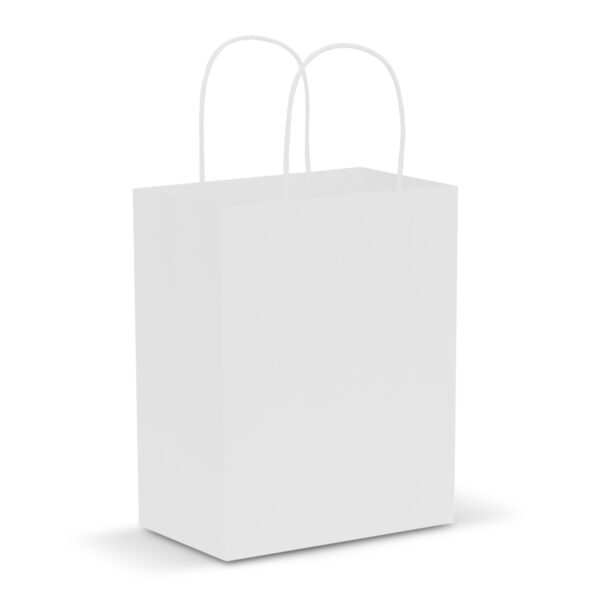 Paper Carry Bag - Medium - Image 3