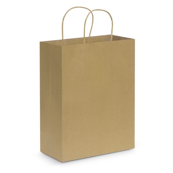 Paper Carry Bag - Large - Image 2