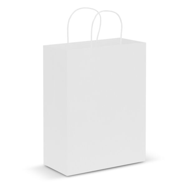 Paper Carry Bag - Large - Image 3