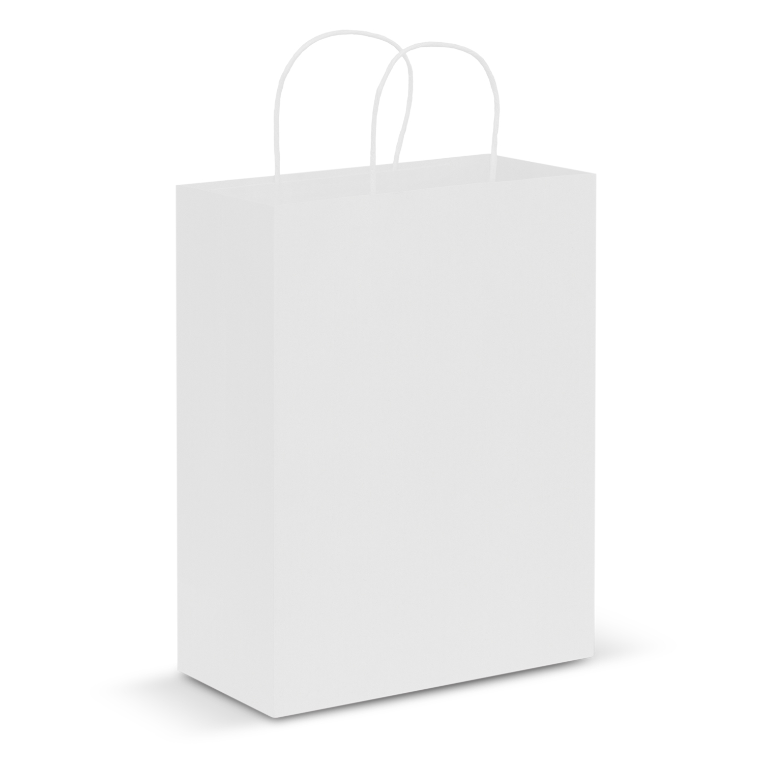 paper-carry-bag-large-the-branding-studio