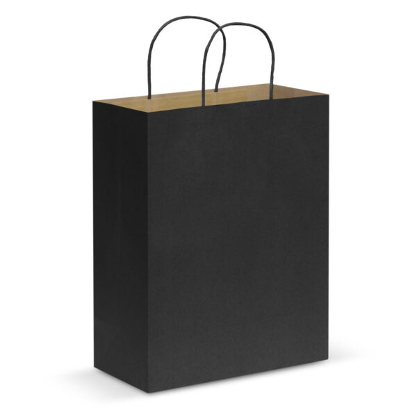 Paper Carry Bag - Large - Image 4